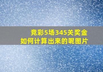 竞彩5场345关奖金如何计算出来的呢图片