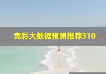 竞彩大数据预测推荐310