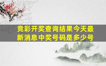 竞彩开奖查询结果今天最新消息中奖号码是多少号