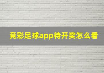 竞彩足球app待开奖怎么看