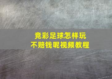 竞彩足球怎样玩不赔钱呢视频教程