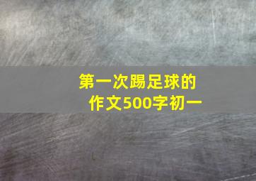 第一次踢足球的作文500字初一