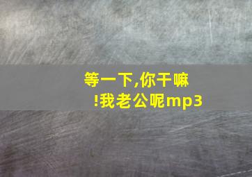 等一下,你干嘛!我老公呢mp3