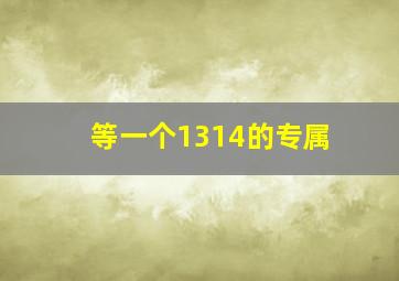 等一个1314的专属