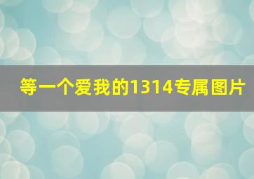 等一个爱我的1314专属图片