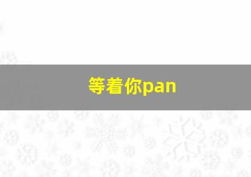 等着你pan