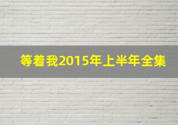 等着我2015年上半年全集