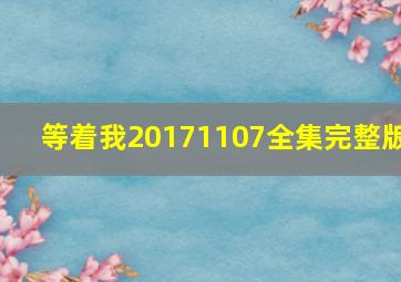 等着我20171107全集完整版