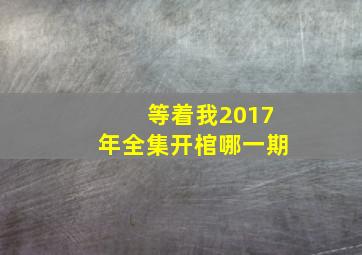 等着我2017年全集开棺哪一期