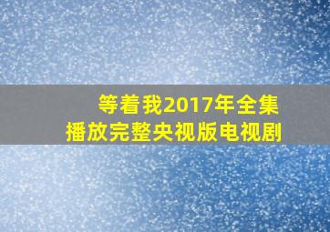 等着我2017年全集播放完整央视版电视剧