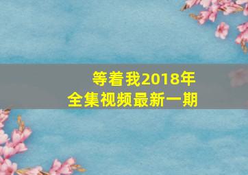 等着我2018年全集视频最新一期