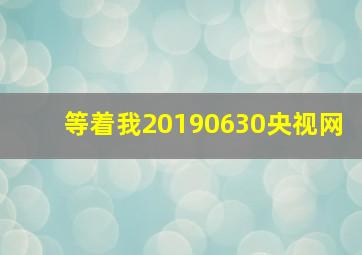 等着我20190630央视网