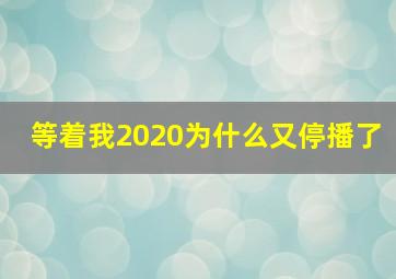 等着我2020为什么又停播了