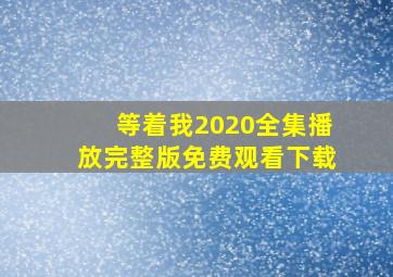 等着我2020全集播放完整版免费观看下载