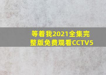 等着我2021全集完整版免费观看CCTV5