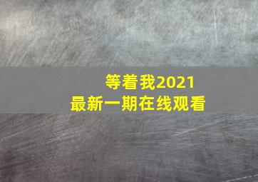 等着我2021最新一期在线观看