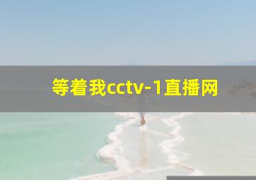 等着我cctv-1直播网