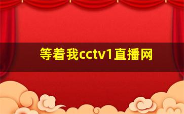 等着我cctv1直播网