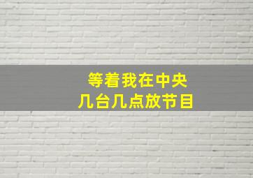 等着我在中央几台几点放节目