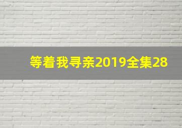 等着我寻亲2019全集28