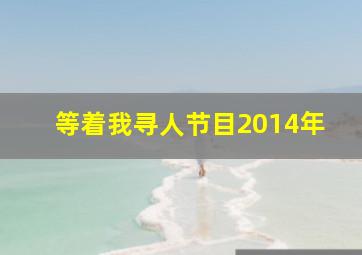 等着我寻人节目2014年