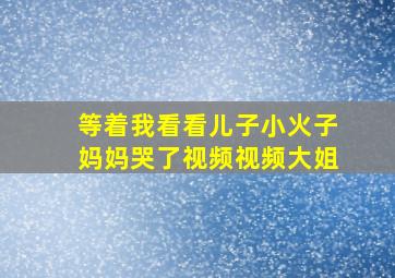 等着我看看儿子小火子妈妈哭了视频视频大姐