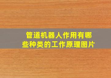 管道机器人作用有哪些种类的工作原理图片