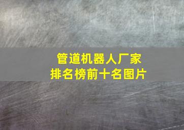 管道机器人厂家排名榜前十名图片