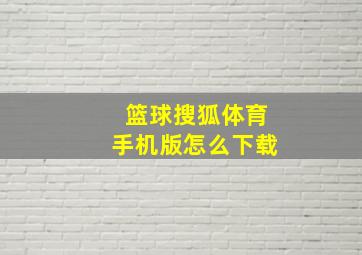 篮球搜狐体育手机版怎么下载