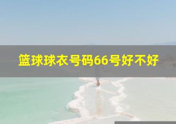 篮球球衣号码66号好不好