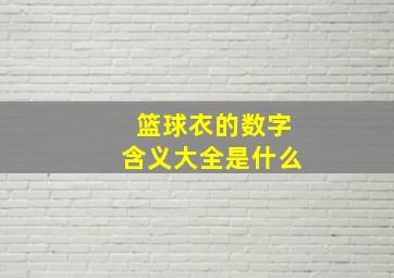 篮球衣的数字含义大全是什么