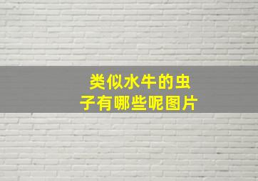 类似水牛的虫子有哪些呢图片