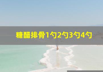 糖醋排骨1勺2勺3勺4勺