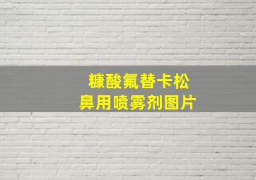 糠酸氟替卡松鼻用喷雾剂图片