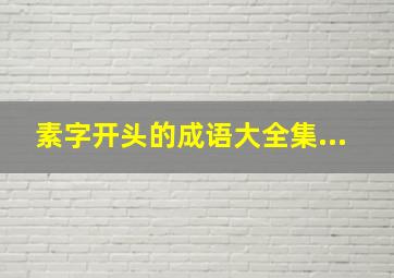 素字开头的成语大全集...