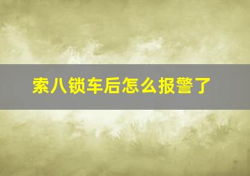 索八锁车后怎么报警了