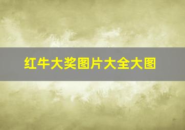 红牛大奖图片大全大图