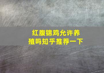 红腹锦鸡允许养殖吗知乎推荐一下