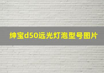 绅宝d50远光灯泡型号图片