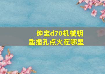 绅宝d70机械钥匙插孔点火在哪里