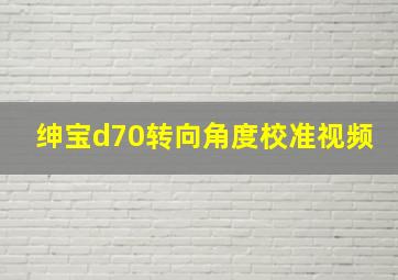 绅宝d70转向角度校准视频