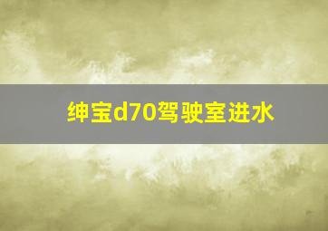 绅宝d70驾驶室进水