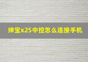 绅宝x25中控怎么连接手机