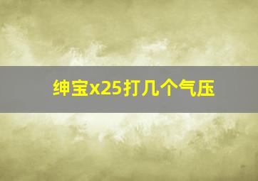 绅宝x25打几个气压