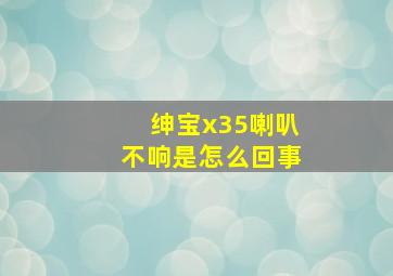 绅宝x35喇叭不响是怎么回事