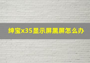 绅宝x35显示屏黑屏怎么办