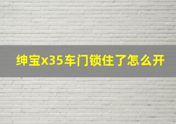 绅宝x35车门锁住了怎么开