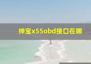 绅宝x55obd接口在哪