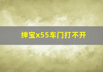 绅宝x55车门打不开