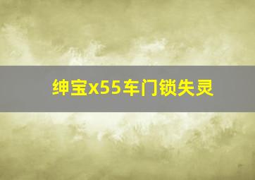 绅宝x55车门锁失灵